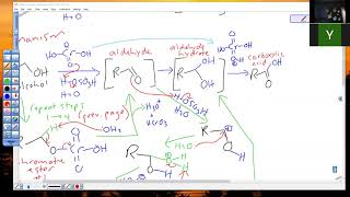 zoom Chem241 12 9 20 Segment 2 [upl. by Ellynn557]