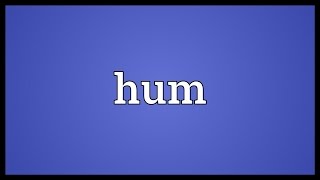 Hum Meaning [upl. by Aleunam330]