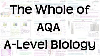 The Whole of AQA ALevel Biology  Exam Revision for Papers 1 2 and 3 [upl. by Bazar355]