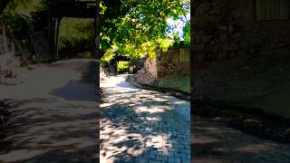 Beautiful breezes from the village travel wiev keşfet travel village travelvlog nature fyp [upl. by Anaderol347]