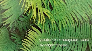 Edgar Froese  Epsilon In Malaysian Pale Original CD [upl. by Atinus]