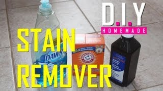 BEST Homemade Stain Remover EVER DIY Cheap and EASY [upl. by Mayfield]