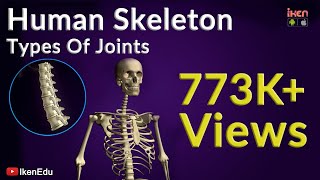 Human Skeleton and Types of Joints  Biology Video  Iken Edu [upl. by Odilia]