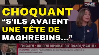 DÉCLARATIONS CHOQUANTES DE CETTE CHERCHEUSE SUR LE PLATEAU DE LCI Charbofficiel2 [upl. by Etterraj]