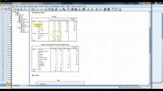 Editing Basic Descriptive Statistics SPSS [upl. by Nimaj]