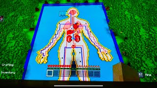 ASMR Minecraft Anatomy Ride [upl. by Akemak362]