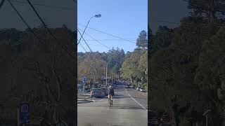 Ferntree Gully Melbourne Drive 🇭🇲🌲 shorts [upl. by Leonerd]