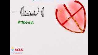 PALS Medications Part One by ACLS Certification Institute [upl. by Aysa]