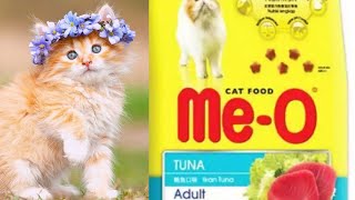 MeO Cat food 2019 hindiUrdu [upl. by Adnorrahs]