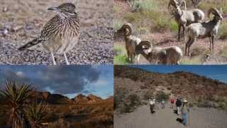 Sloan Canyon National Conservation Area  Overview [upl. by Iiette]