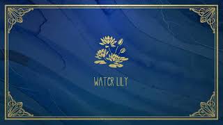 Water Lily [upl. by Alegnatal]