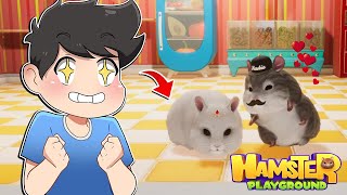 Bumili Ako ng Bagong Hamster para kay Sniff  Hamster Playground 2 [upl. by Hanah785]