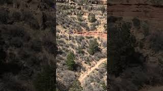 Grand Canyon Bright Angel Trail 4 [upl. by Gerdy109]