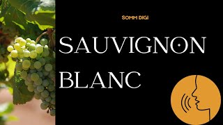 Sauvignon Blanc Pronunciation How to Pronounce sauvignonblanc pronunciation [upl. by Ellenehc]