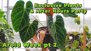 Our most Exclusive plants Tour  Aroid Greenhouses After Hours Party Celebration  Aroid Week pt 2 [upl. by Concoff]