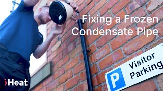 How to Fix a Frozen Boiler Condensate Pipe [upl. by Anahsit]