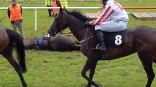 A Horse Falls at the Sligo Races County Sligo Ireland [upl. by Anikas]