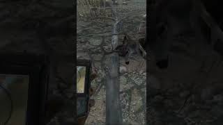 300 NonTypical Mule Deer on Timbergold Trails  TheHunter Classic hunting deerhunterclassic th [upl. by Eyt]