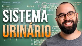 Sistema Excretor URINÁRIO  Aula 30  Módulo 7 Fisiologia Humana [upl. by Dorolice]