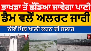 Bhakra Dam flood alert  Water will be released from Bhakra dam  anandpur sahib bhakara dam video [upl. by Maril]