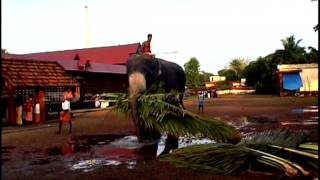 Aranmula Sree Parthasarathy Temple [upl. by Kelby]