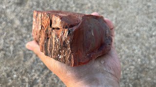 Flint Knapping Arizona Petrified Wood [upl. by Beryle]