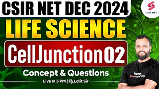 CSIR NET DEC 2024  Life Science  Concept And Questions  Cell junction  Part 02  Dr Lalit Pal [upl. by Ruthven]