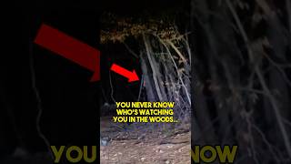 NEVER Go to The Woods at Night… [upl. by Yerxa]