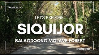 SALAGDOONG MOLAVE FOREST  SIQUIJOR PHILIPPINES [upl. by Dent]