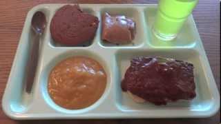 MRE Review Menu No12 Veggie Burger In Barbeque Sauce 2010 [upl. by Erodavlas993]