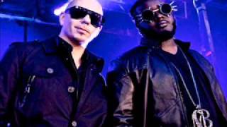 Shake Senora  Pitbull Ft TPain [upl. by Novej]