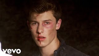 Shawn Mendes  Stitches Official Music Video [upl. by Sucirdor]