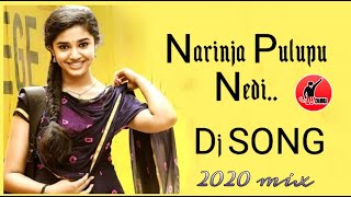 Narinja Pulupu Nedi Dj Song  Bhageeratha Movie Dj Songs  DJ Chandra From Alicherla Bangarupalem [upl. by Bouldon]