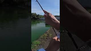 Dibuli lagenda budak setan hingga patah snap👹 fishing djioa5pro [upl. by Phillane646]