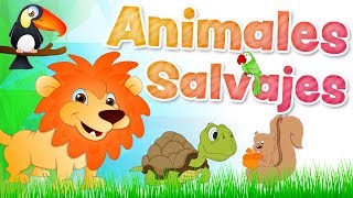 Los ANIMALES SALVAJES en español para niños con sonidos [upl. by Minni595]