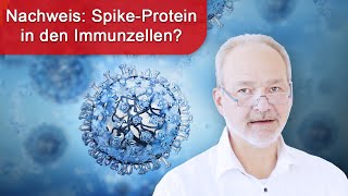 Müde nach Corona  SpikeProteinNachweis im Plasma und in Immunzellen  Befundpräsentation [upl. by Inoliel125]