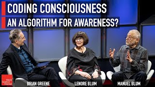 Coding Consciousness An Algorithm for Awareness [upl. by Laraine]