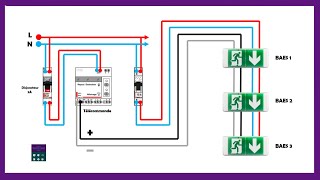 Comment Installer Et Brancher BAES Eclairage De Securité I Schéma Electrique [upl. by Yentruoc830]