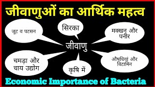 जीवाणुओं का आर्थिक महत्व  बैक्टीरिया के लाभ  Economic Importance of Bacteria in hindi [upl. by Kaplan]