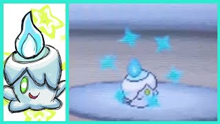 Live Shiny Litwick After 17018 Encounters [upl. by Min384]