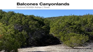 Balcones Canyonlands in Marble Falls Texas [upl. by Gilman946]