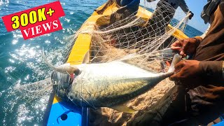 Amazing Giant Trevally Fish And Back To Back Queen fish Catching In The Sea [upl. by Ayekin292]