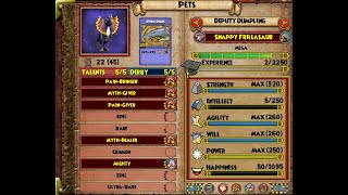 Wizard101 Best Way to Hatch Pets in 2024 [upl. by Namad]