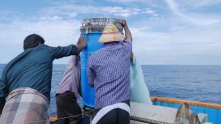 ICARCIFT Modern Long Line Fishing Techniques for Tuna [upl. by Chin]