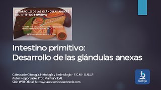 DESARROLLO DE GLÁNDULAS ANEXAS DIGESTIVO [upl. by Geneva]