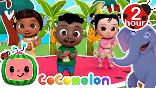 Apples and Bananas Love Fruit Song  CoComelon  Codys Playtime  Songs for Kids amp Nursery Rhymes [upl. by Nitsreik958]