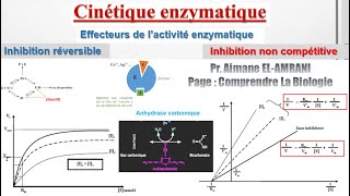 Séance 12  Effecteurs de l’activité enzymatique  Inhibition non compétitive [upl. by Engis166]