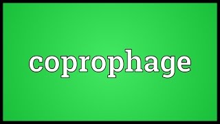 Coprophage Meaning [upl. by Eybbob]