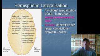 13 Hemispheric Lateralization [upl. by Oirrad]