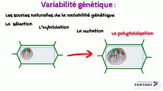 Introduction 2 Amélioration des plantes [upl. by Deva850]